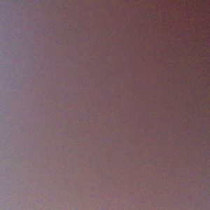 Meet your Posher, Adam